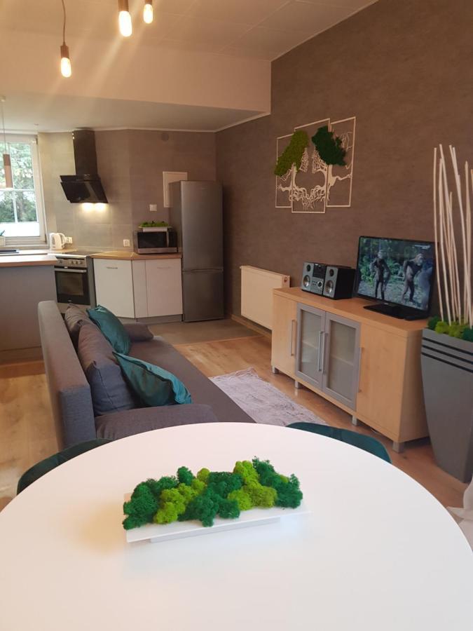 Apartamenty Paszkowka Pietrzykowice  Extérieur photo